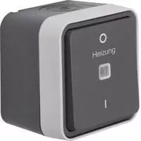Hager Kontroll-Ausschalter AP 2-polig,grau WNC015 (WNC015)