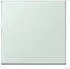 Jung ENO LC990215 EnOcean Funk-Wandsender 2-kanalig, Thermoplast lackiert, Serie LS (ENOLC990215)