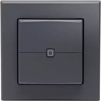 Homematic IP HmIP-WRC2-A-2 Wandtaster 2-fach, anthrazit (161869A0)