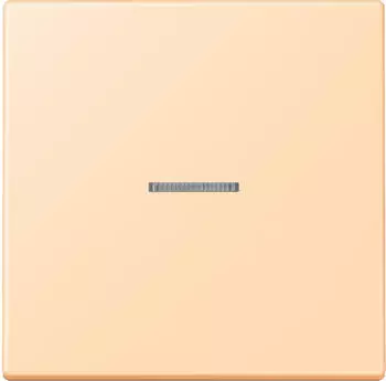 Jung eNet Taster Standard 1-fach FM LC (FMLC1700223)