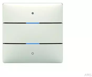 Theben iON 102 KNX-Tastsensor 2-fach, reinwei&szlig; gl&auml;nzend (4969232)