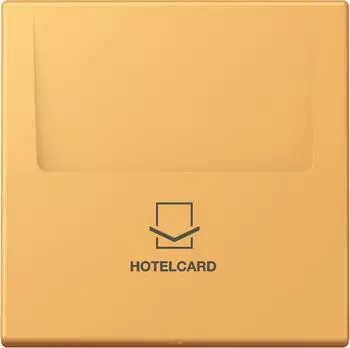 Jung Hotelcard-Schalter Serie LS Thermoplast lackiert ocre jaune clair (LC590CARD254)
