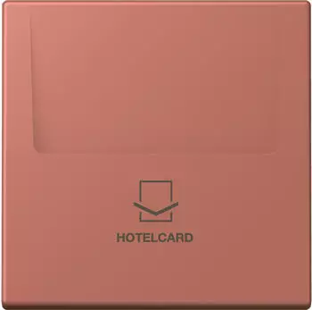 Jung Hotelcard-Schalter ohne Taster-Einsatz, Thermoplast lackiert (LC590CARD236)