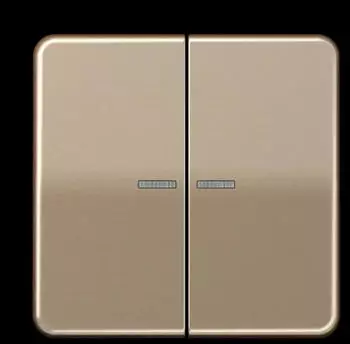 Jung KNX RF Taster 2-fach, Aluminium eloxiert, gold-bronze (CD10921STRFGB)
