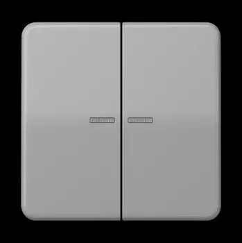 Jung KNX RF Taster 2-fach, Duroplast, grau (CD10921STRFGR)
