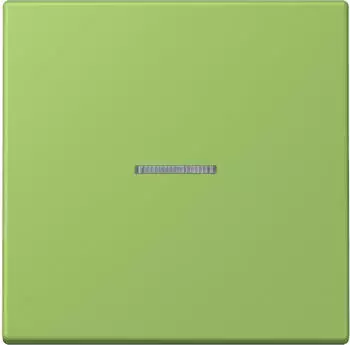 Jung eNet Taster Standard 1-fach FM LC (FMLC1700220)