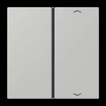 Jung Taste 1-fach mit Pfeilsymbol (LC401TSAP205)