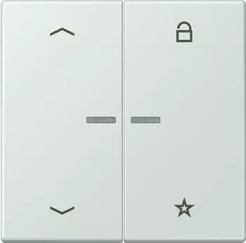Jung eNet Taster Universal 1-fach FM LC (FMLC1701P215)