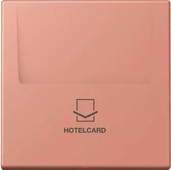 Jung LC 590 CARD Hotelcard-Schalter Thermoplast lackiert, l'ocre rouge moyen (LC590CARD233)