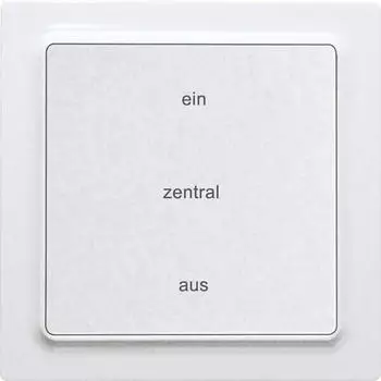 Eltako F2ZT55E-am Funktaster batterie- und leitungslos 2-Kanal, anthrazit matt (30055442)