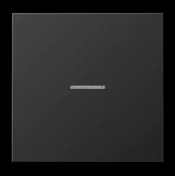 Jung eNet Funk-Steuertaste Standard 1-fach, lackiertes Aluminium, Dark (FMAL1700D)