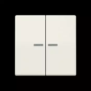 Jung KNX RF Taster 2-fach Duroplast wei&szlig; (AS10921STRF)