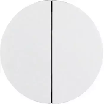 Berker Tastdimmerabdeckung R.1/R.3 2-fach polarwei&szlig; gl&auml;nzend (85142139)
