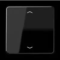 Jung Steuertaste Standard CD 1700 P SW