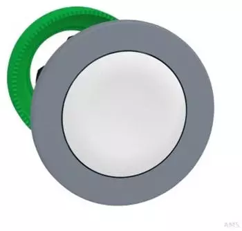 Schneider Electric Drucktaster Frontelement Kunststoff rastend wei&szlig; 30mm (ZB5FH01C0)