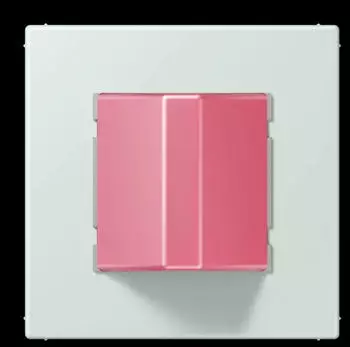 Jung Notrufsystem Rufmodul Serie LS, Thermoplast lackiert, c&eacute;rul&eacute;en p&acirc;le (NRSLC0834RM215)