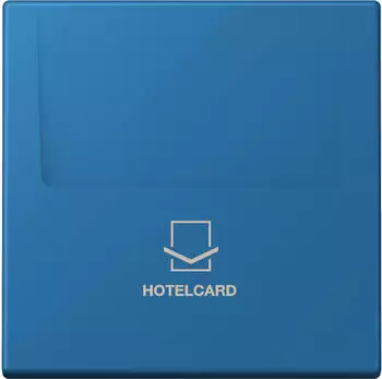 Jung Hotelcard-Schalter ohne Taster-Einsatz, Thermoplast lackiert (LC590CARD211)