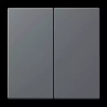 Jung Wippe f&uuml;r KNX Taster 2-fach Gris Fonc&eacute; (LC102202)