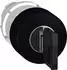 Schneider Electric Pilzdrucktaster-Frontelement Ø22mm schwarz Ø30mm (ZB4BS72)