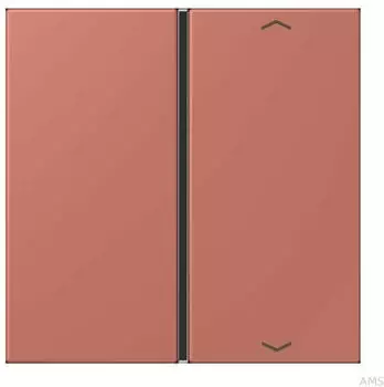 Jung Taste 1-fach mit Pfeilsymbol (LC401TSAP236)