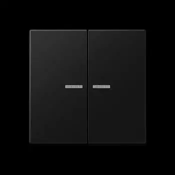 Jung A 1092 KNX-RF-Taster 2-fach Thermoplast graphitschwarz matt (A10921STRFBFSWM)
