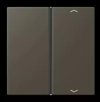 Jung Taste 1-fach mit Pfeilsymbol (LC401TSAP241)