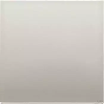 Jung ENO ES 2990-L EnOcean Funk-Wandsender 2-kanalig, Serie LS, Edelstahl (ENOES2990-L)