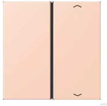 Jung Taste 1-fach mit Pfeilsymbol (LC401TSAP234)