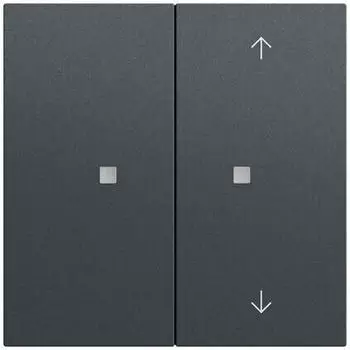 Gira Tastwippe 2-fach unbedruckt/Pfeile OneKNX System 70 Anthrazit (517573)