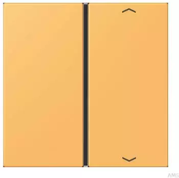 Jung Taste 1-fach mit Pfeilsymbol, Ocre Jaune Clair (LC401TSAP254)