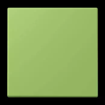 Jung ENO LC 990220 Funk-Wandsender 2-kanalig (ENOLC990220)