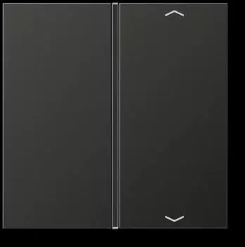Jung Taste 1-fach Symbol Pfeil/Auf/Ab Aluminium Anthrazit (AL2401TSAPAN)