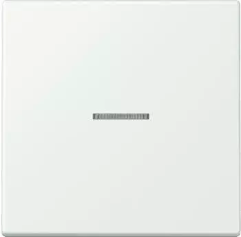 Jung eNet Taster Standard 1-fach FM LC (FMLC1700210)