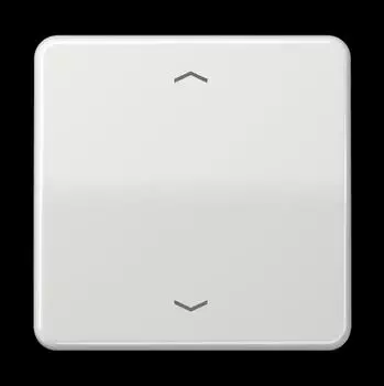 Jung CD1700PLG Steuertaste Standard Pfeilsymbole Duroplast lichtgrau (CD1700PLG)