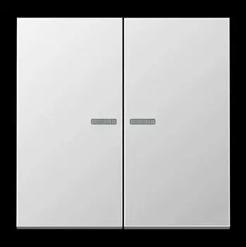 Jung AL10921STRF KNX RF Taster 2-fach Secure, Aluminium, Serie LS (AL10921STRF)