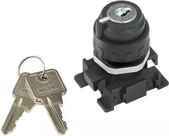 Riegler 2-Stellungsschalter, verschlie&szlig;bar, Schl&uuml;sselabzug Grundstellung (V2SS-GS)