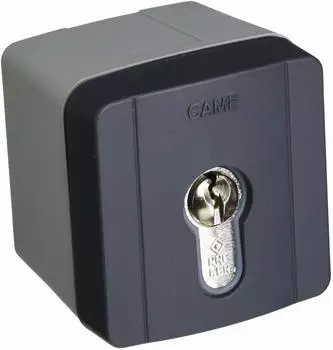 CAME SELD1FDG Schl&uuml;sselschalter f&uuml;r Au&szlig;enbereich (806SL-0050)