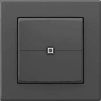 Homematic IP HmIP-UDI-PB2-A Universal-Dimmeraufsatz Taster, anthrazit (162329A0)