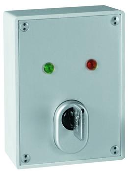 ABUS AP-Schlüssel-Schalter (SE1000)