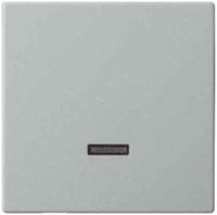 Busch-Jaeger 6543-866-101 2CKA006599A2926 Eingangsmodul Ohne Edelstahl 1St.