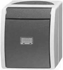 Busch-Jaeger Wipptaster (2621 WGL-53)