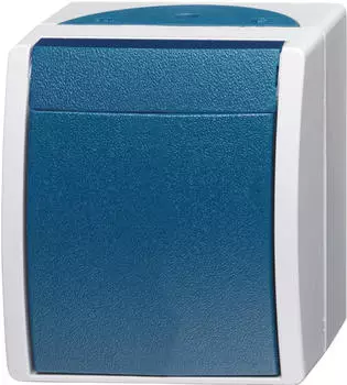 Busch-Jaeger Wippschalter, blau (2601/6 W-53)