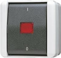 Jung Wipp-kontrollschalter, Aus 2-pol., 10 Ax 250 V , Ip 44, Wg 800 802 Kow
