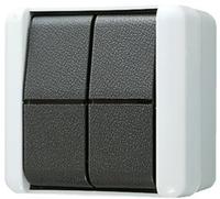 Jung Doppel-Taster 10AX 250V 835 W