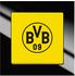 Busch-Jaeger axcent Fanschalter Borussia Dortmund