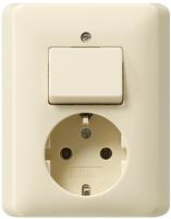 Gira 017601, Gira 017601 Kombi Aus-Wechsel-Schalter/Schuko Vollplatte Standard 55
