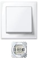 Merten Jumbo Schalter pws/gl 10AX AC 250V MEG3341-1419