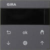 GIRA S3000 Jalousie- + Schaltuhr Display 536628