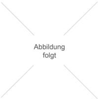 ABB FlexLine&reg; FI/LS-Schalter DSX301CA, 1TE 6kA, 1P+N, Typ A, B20A, 30mA, 2polig