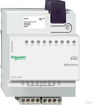 Schneider Electric REG-K/8x10 lichtgrau (MTN644592)